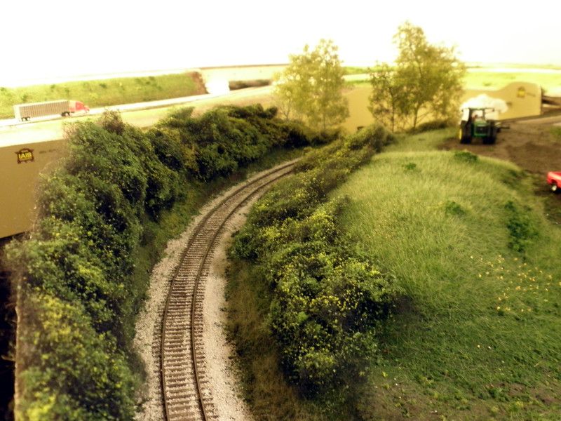 Looking east near Peter at new undergrowth lining the cut, and static grass and wild flowers in the adjacent fields.