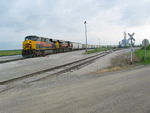 Looking west at the east end of the yard.