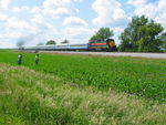 Larry and Frank inspect a local farmer's cornfield.