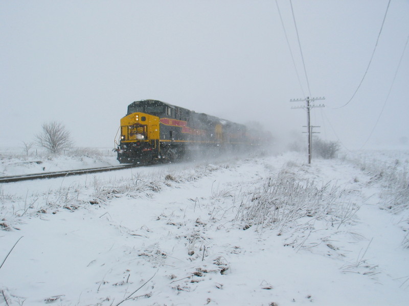 WB in the snow at the mp215 curve.  I wasn't brave enough to climb the tree today!