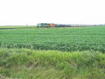 BN detour west of Walcott, Aug. 4, 2011.