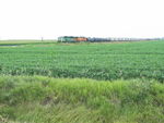 BN detour west of Walcott, Aug. 4, 2011.