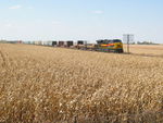 EB skims across the fields west of Walcott, Oct. 9, 2011.