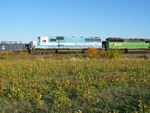 Nice consist on this otherwise boring bare table train.