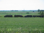 East train around mp219, east of West Liberty, Aug. 29, 2008.