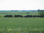 East train around mp219, east of West Liberty, Aug. 29, 2008.