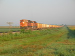 First BN detour holds west of Walcott to wait for the IAIS WB to get out of RI.  Aug. 5, 2010.