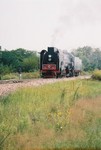 At the east switch of the Yocum wye