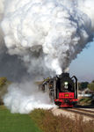 Walcott, IA.  October 18, 2008.  Bill Pearsall #2