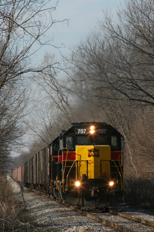 About halfway between Colona and Geneseo, in the tree tunnel along the Hennepin Canal.