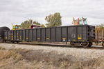 Interesting load in IAIS 110022 on BICB-18 near Walcott, IA.