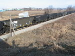 NS coal cars this time.