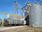 Hancock was also loading grain yesterday.