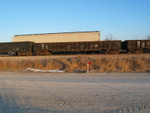 HS 41329, Jan. 15, 2008.