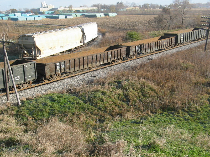 HS 41330, Nov. 13, 2007.