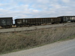 HS 41324, Nov. 15, 2007.