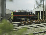 A peek through the trees as IAIS 400 is serviced at Bluffs Yard.