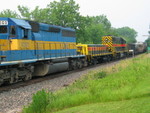 Near the east switch of Heinz siding, June 16, 2007 039