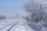 A break in the fog at Walcott reveals the depth of the frozen frost on everything.