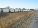 Aluminum tarp top hoppers stored on the Oakland branch.