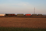 Nov. 4, 2008 010