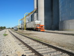 Loading grain cars at Malcom.