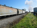 Mostly ADM traffic on the steam train.