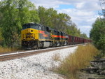 Coal train tied down at N. Star.