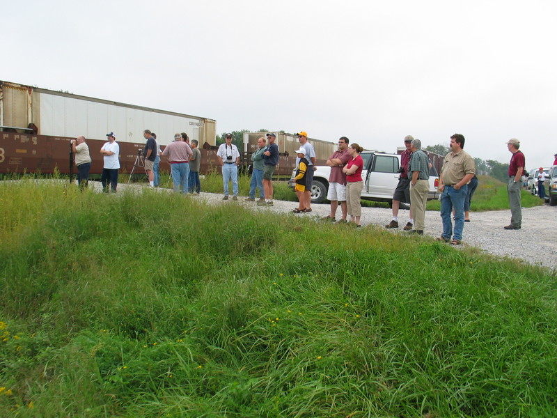 Pigs and fans at Yocum, Sept. 9, 2006.