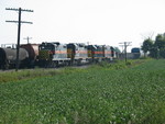Westbound RI turn at the west end of Twin States siding, preparing to set out potash and phosphoric acid, Aug. 22, 2006.