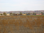 North of Henry, Nov. 3, 2005.