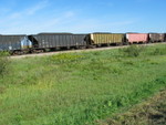 Coal cars.  I thought it was neat that there was an IC, HLMX, CC, and SSAM all right there together.