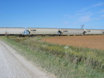 This was a solid train of NS grain hoppers.