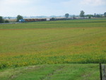 East train west of Atalissa, Sept. 7, 2007.
