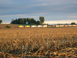 WB RI turn at mp 215.3, Oct 24, 2005.