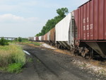 Looking south along the old Oakland branch, hoppers are on the connection up to the main line.  June 21, 2006.