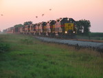 West train (and pheasants) at 217.5, west of Atalissa, Aug. '06.