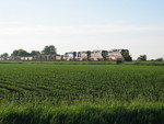 Westbound RI turn at 217.5, west of Atalissa, June 2, 2006.