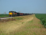 Coal empties at 197 or so, west of Walcott.