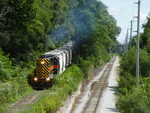 Heading back down to the main, Iowa 717 has about 30+ empties in tow, manuevering the very tree'd in spur.