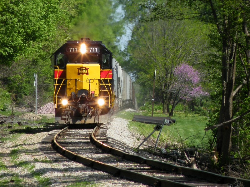 Lots of purple along the line as tree's are in full bloom on this beaitiful spring day.