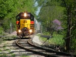 Lots of purple along the line as tree's are in full bloom on this beaitiful spring day.