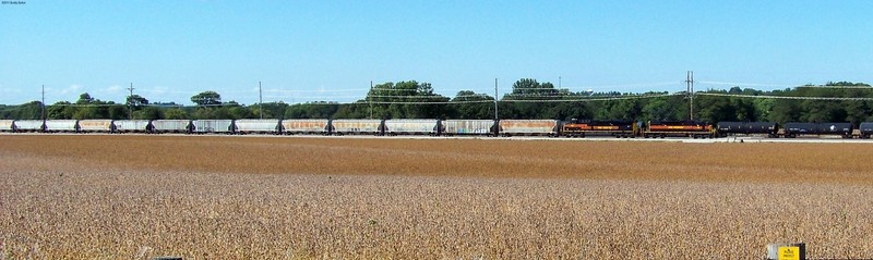 Iowa Interstate 156, 506 brings 44 hoppers thru Interchange track 952 on the CRANDIC.