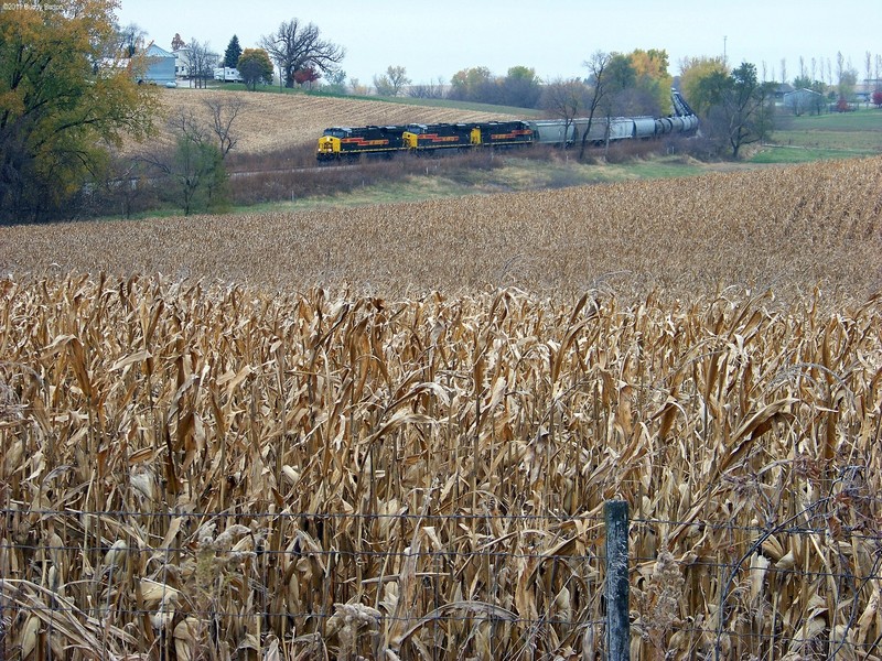 CRIC26 passing a not-harvested cornfield north of East Amana