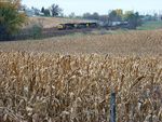 CRIC26 passing a not-harvested cornfield north of East Amana