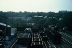 Late afternoon in the Iowa City yard. 07-Aug-1987.