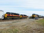 The RISW passes the BIRI as they tie the train down in Moline siding. 10-25-10