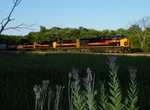 Still looking veyr glossy and new, Iowa 506 leads equally as clean 710, 502, and 717 on a lengthy BICB through Oak Forest, IL. I was definately stretching the length of daylight here... 08-02-09