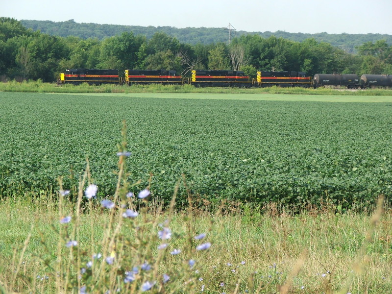 Iowa 720 leads 703, 151, and 708 on a RINSU ethanol load just outside of Ottawa. The train is just clear of one of the few 10 mph slow orders on the line and is notching it up out of town.