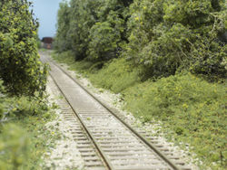 North of the bridge the Grimes Line passes through a heavily wooded area. The entire prototype is more suburban than urban.